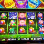 free spin casino
